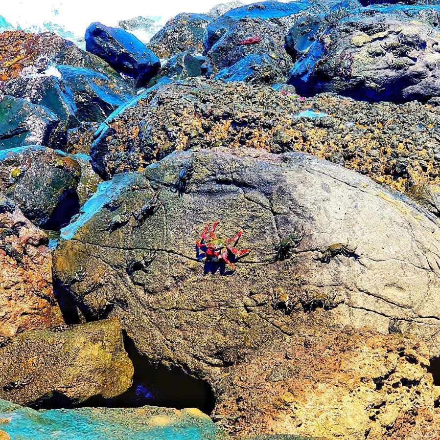 "The Red Crab Studio" By Bbhome At Gran Canaria Airport - Wifi 300 Mbps El Burrero Exterior foto